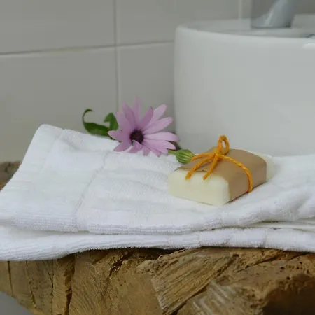 Casa Da Fraga Ferreira (Braganca)