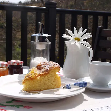 Casa Da Fraga Ferreira (Braganca)